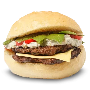 برگر-دوبل-پنج-کد 9146